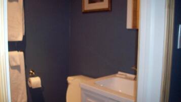 Secador de cabelo, toalhas de banho, sabonete, shampoo