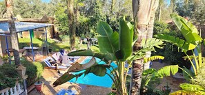 Uklassifisert bilde, 2 av 36, knapp