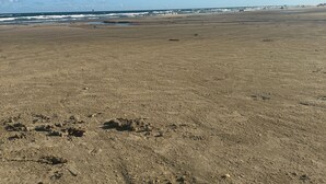 Une vaste plage de sable, à perte de vue, parsemée d’empreintes et bordée, au loin, par une jetée.
