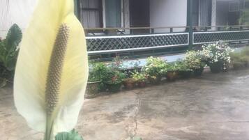 Superior Double or Twin Room, Balcony, Garden View | Exterior detail