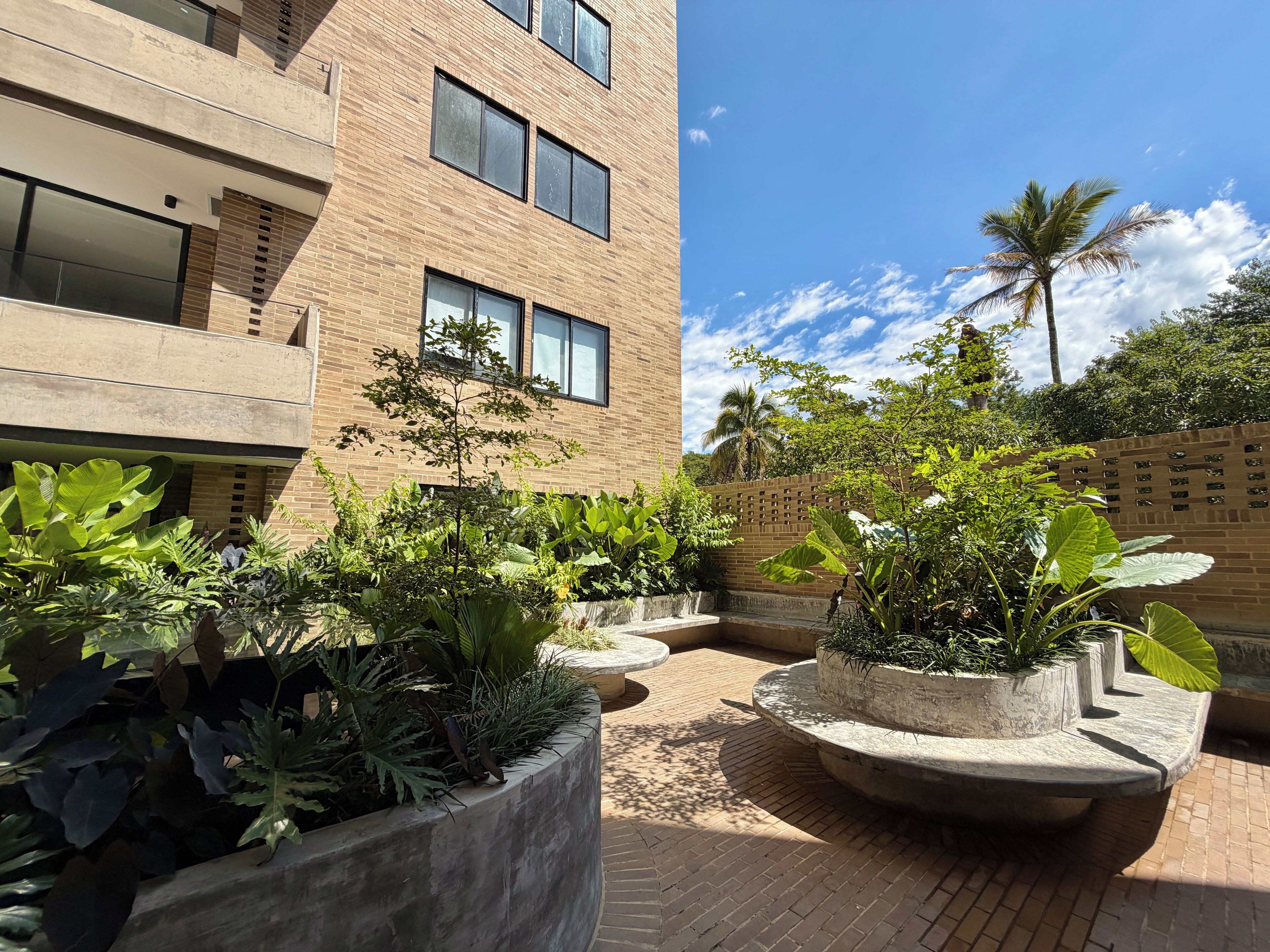 A courtyard with a brick building, potted plants, and a palm tree.