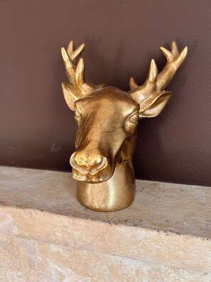 Unclassified image, 5 of 39, button