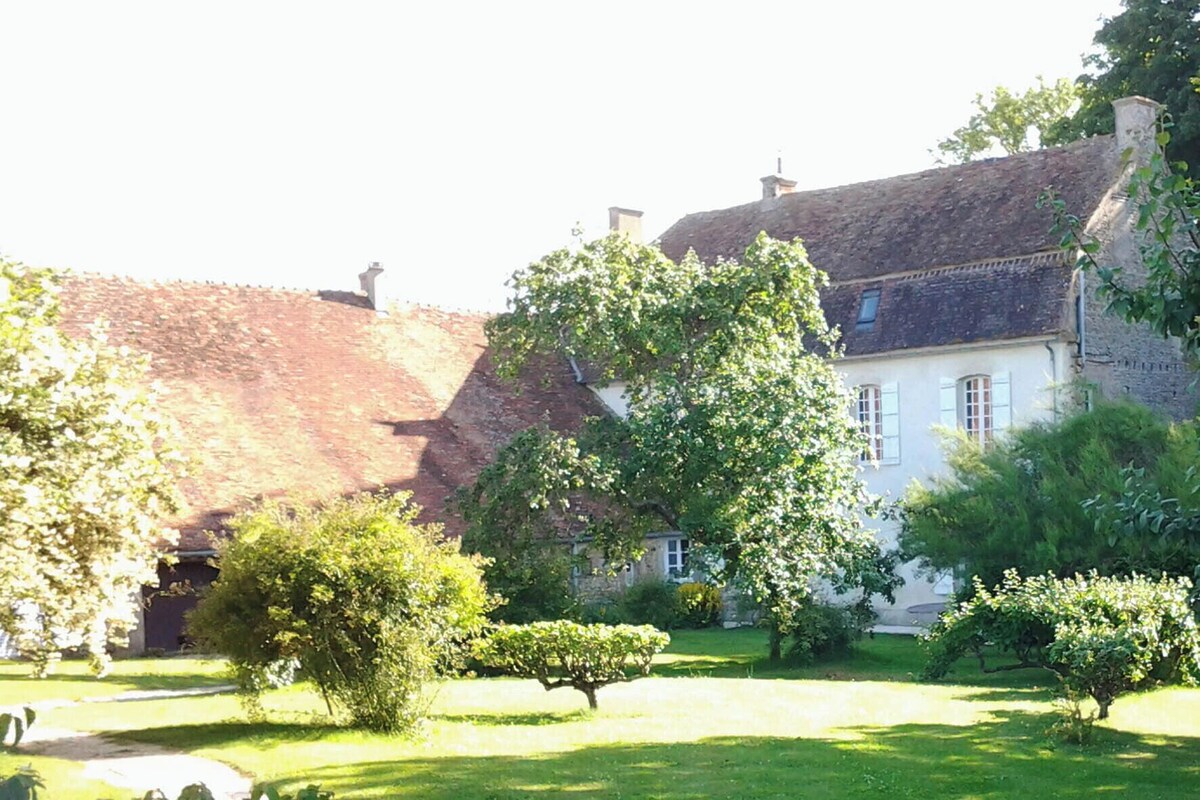 Imagen de perfil del propietario o de la propietaria