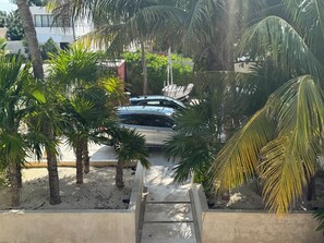 A car parked in a driveway surrounded by palm trees and a concrete wall. - NEW beachfront home with Chef included (Progreso)
