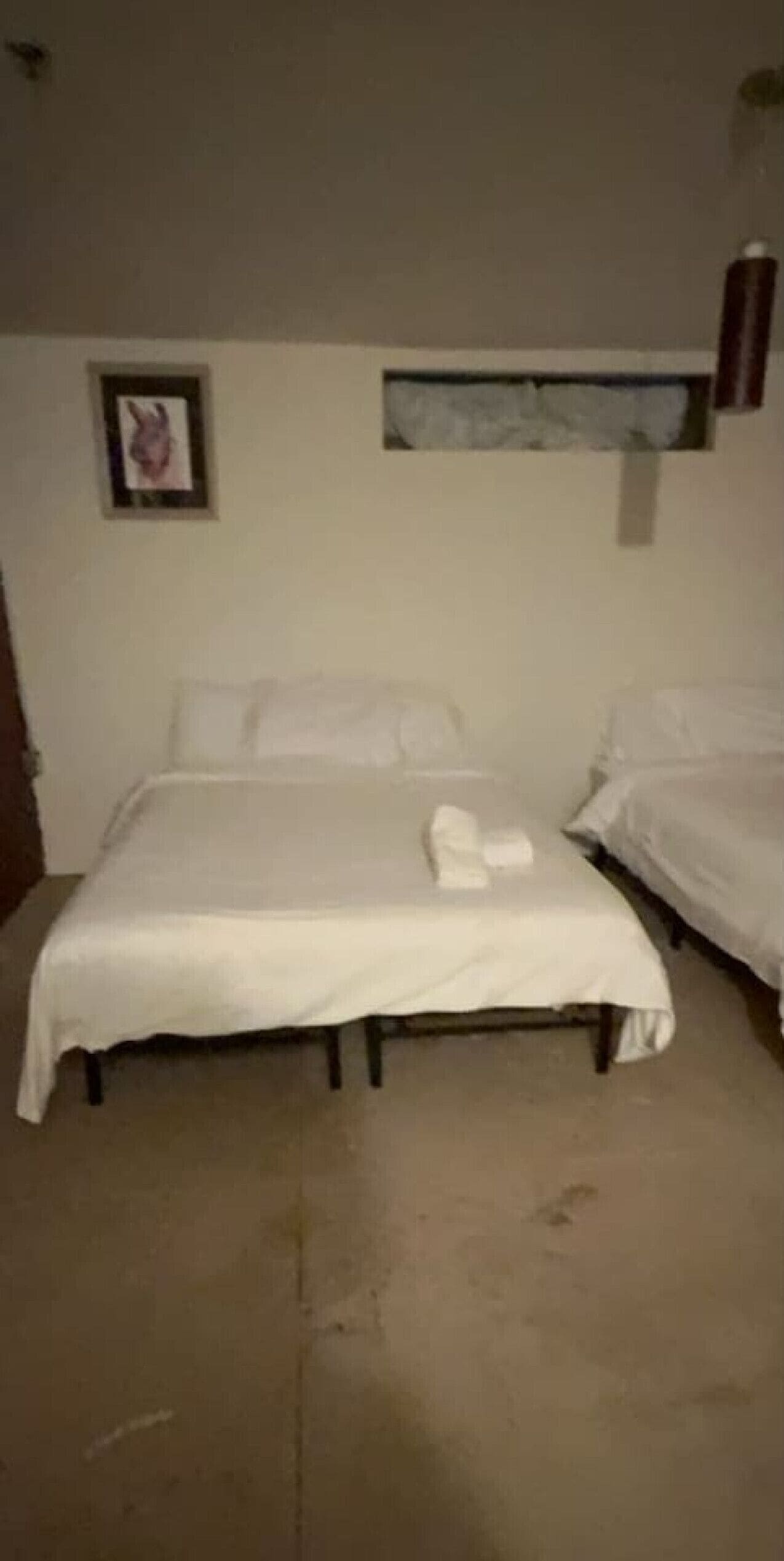 A room with two beds, a framed picture on the wall, and a small window.