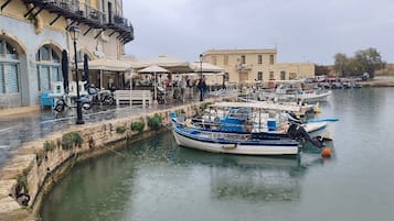 Paseos en bote