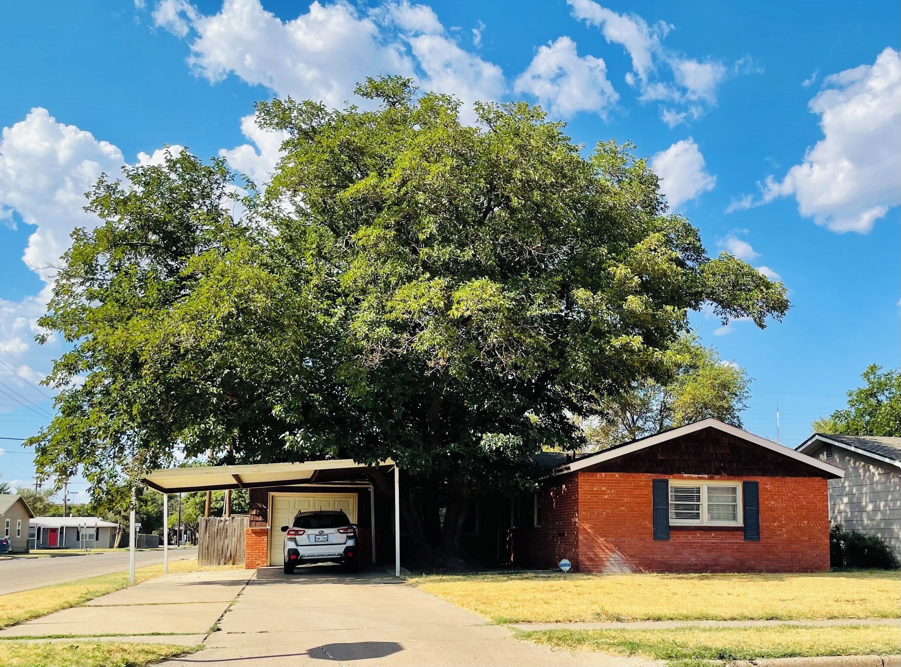 A residential area with a garage, a small brick house, and a large tree providing shade.