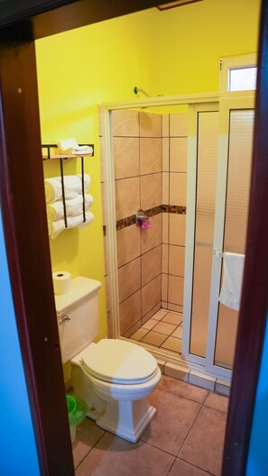 Regadera, secadora de cabello, toallas, jabón