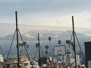 Una cancha de baloncesto con aro, red y palmeras al fondo.