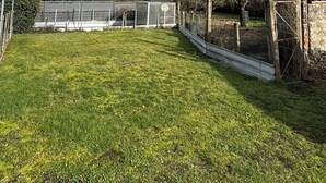 Un espace extérieur verdoyant, avec une clôture en métal, une grille d’évacuation et un bâtiment en arrière-plan.