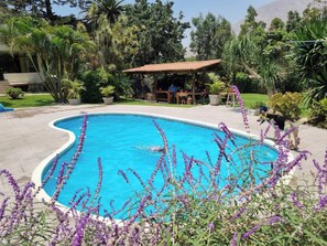 Photo non classée, 2 sur 14, bouton