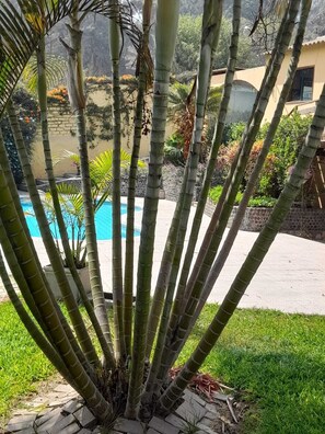 Nicht klassifiziertes Bild, 3 von 14, Schaltfläche