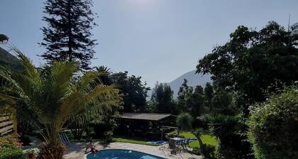 Casa California surrounded by greenery and colors, pool, jacuzzis, sauna and gardens!