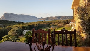 Property grounds - Private beaches and mooring at 150m transfer to the islands spectacular sea view (San Teodoro)