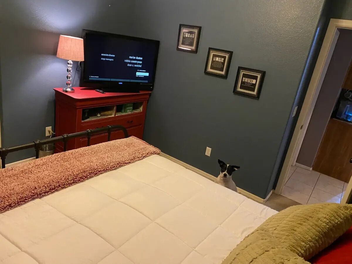 A bedroom with a bed, a TV on a stand, a framed certificate on the wall, and a dog peeking from behind the bed.