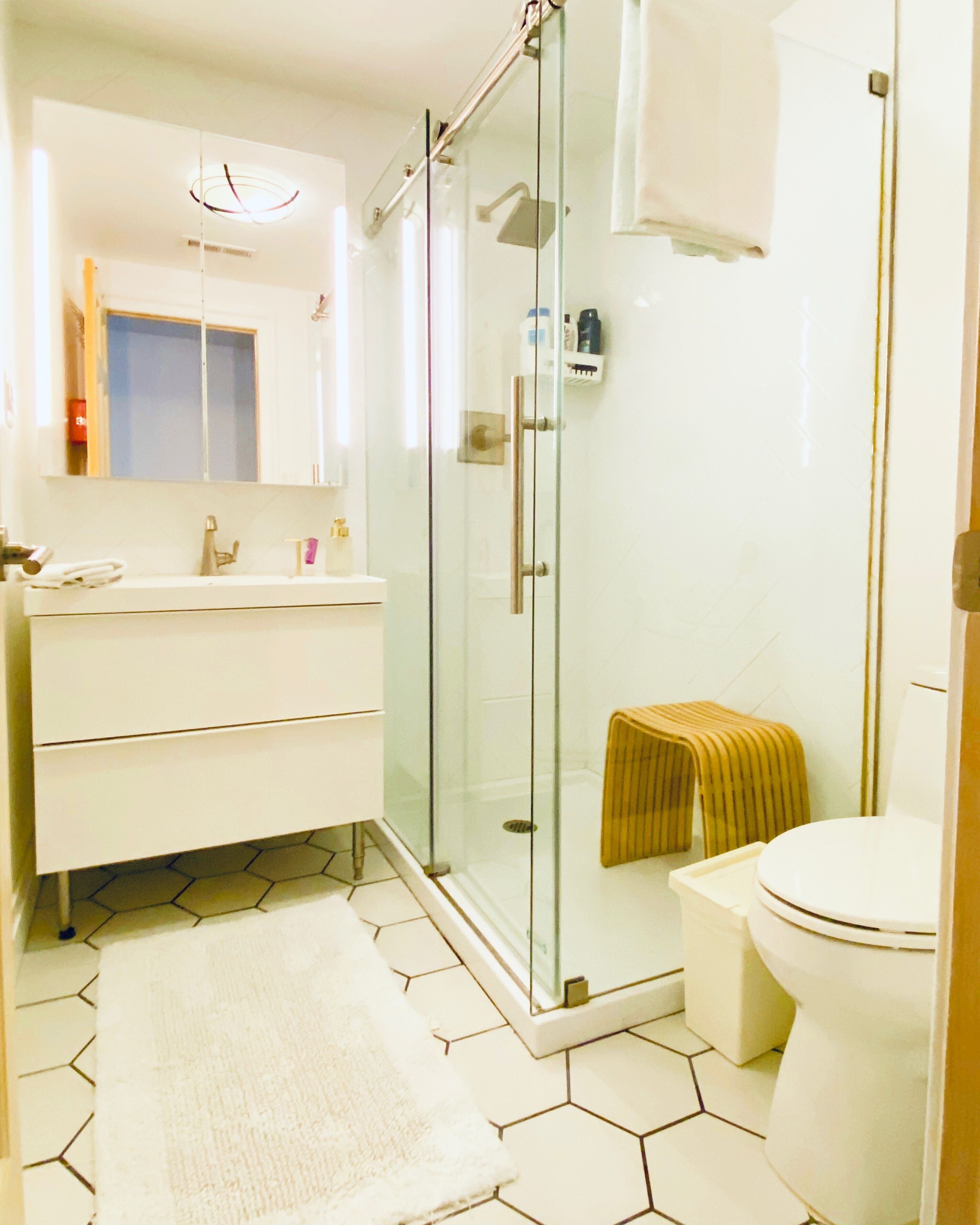 Shower, hair dryer, bidet, towels