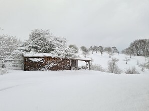 Nicht klassifiziertes Bild, 3 von 8, Schaltfläche