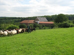 Nicht klassifiziertes Bild, 4 von 8, Schaltfläche