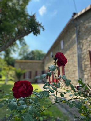 Detalle del exterior