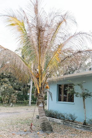 Property grounds - Fully Renovated 4BR/2BA • 5 Min to Beach • Modern Coastal Retreat (Sebastian)