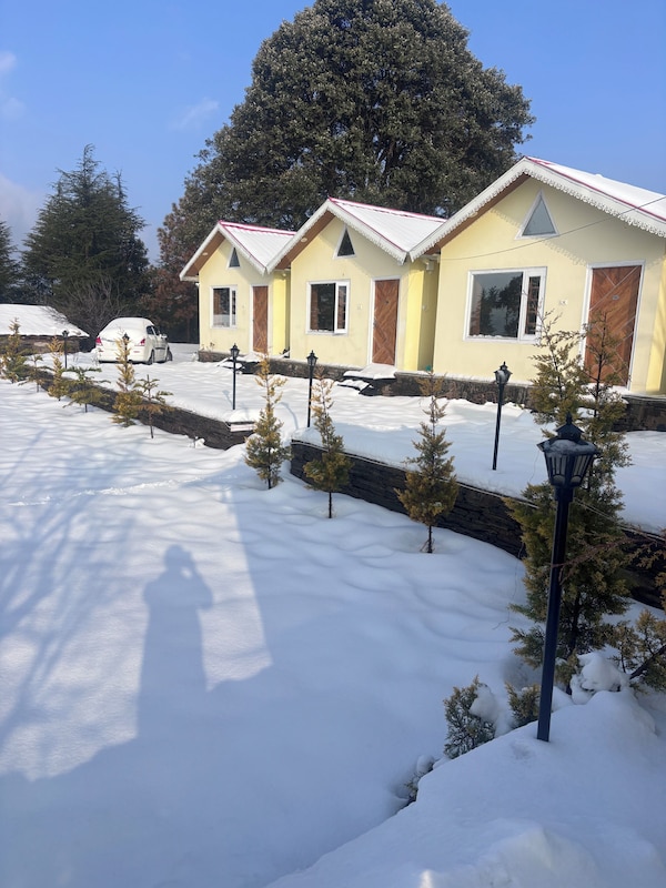 The Hideaway Homestay Chail - Himachal Pradesh