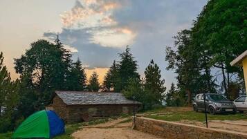 A rustic cabin with a dirt path leading to it, surrounded by trees and a tent.