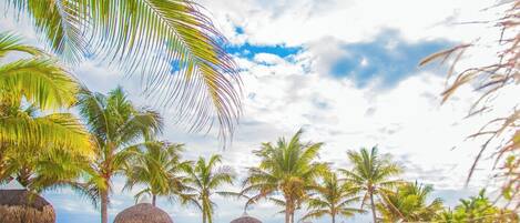 Aurinkotuoleja, rantapyyhkeitä