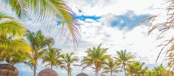 Amazing experience in Playa Caracol with pool and ocean views