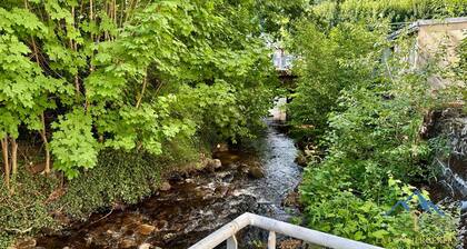 La Rive Gambetta La Bourboule 4 Pers