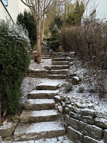 Design studio with roof terrace on the edge of the forest