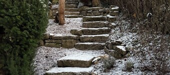 Design studio with roof terrace on the edge of the forest