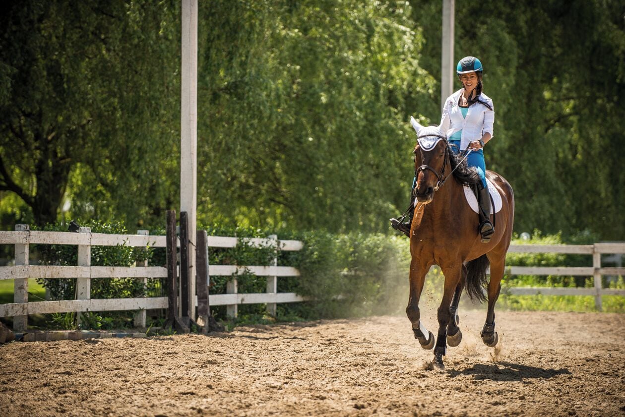 A person riding a horse in an outdoor arena with a white fence and trees in the background.