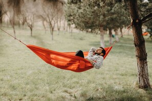 منطقة شواء/نزهات