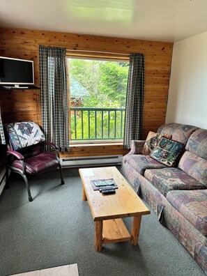 Smart TV - Brooks Falls, Homer Floatplane Lodge (Homer)