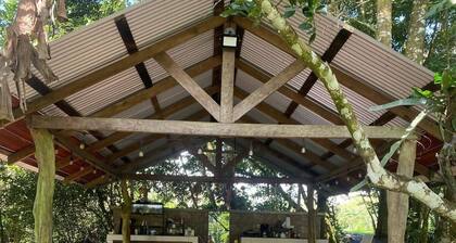 Green Trails Private Cabina - Second Story - 2 Beds - Pool - Patio