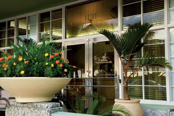 A hotel entrance with a large planter of flowers, a palm tree, and a sign reading "Hilton Grand Vacations Club".