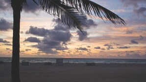 Une plage avec un palmier et un coucher de soleil.