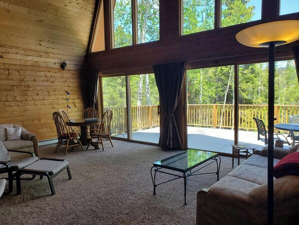 Living area - Scenic Mountain Vacation Family Home near Blackhawk, Golden, Denver (Black Hawk)