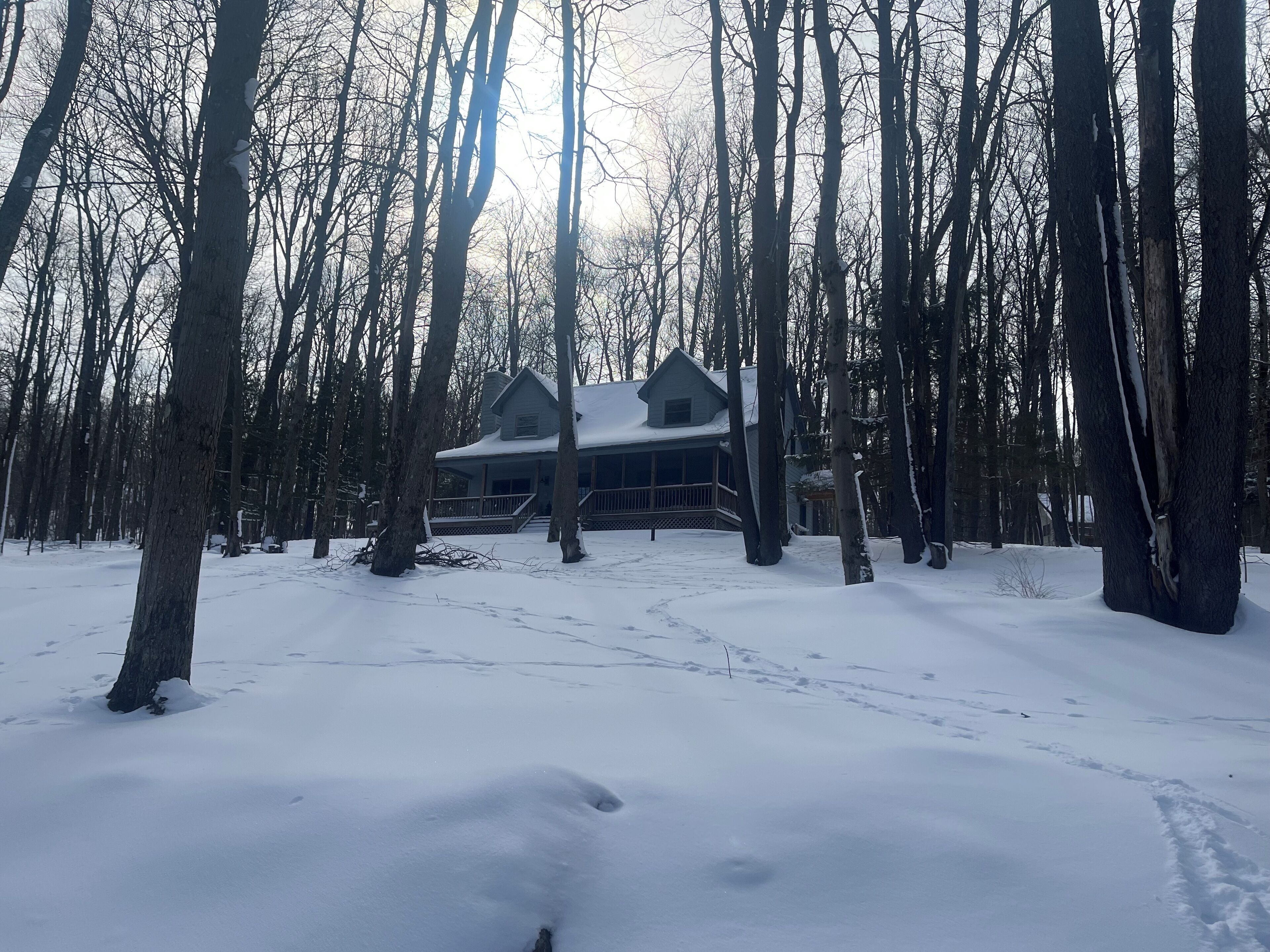 Una baita circondata da alberi alti in un paesaggio innevato.