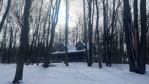 Une cabane entourée de grands arbres, dans un paysage enneigé.