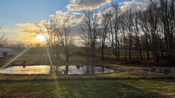 Eine friedliche Landschaft mit Teich, Bäumen und einem Gebäude im Hintergrund.
