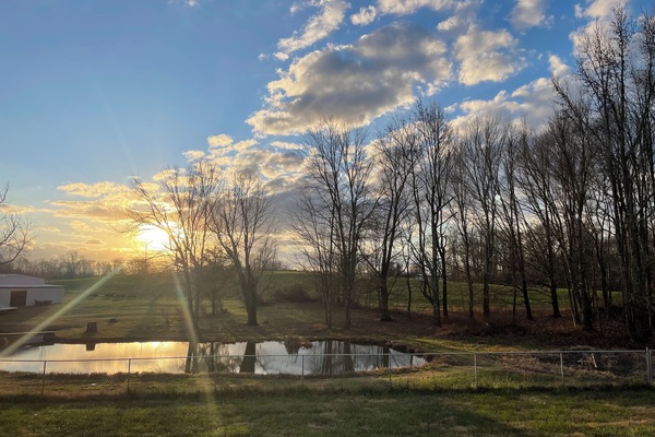 Área da propriedade