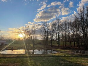 星評価なしの画像、5 / 26、ボタン