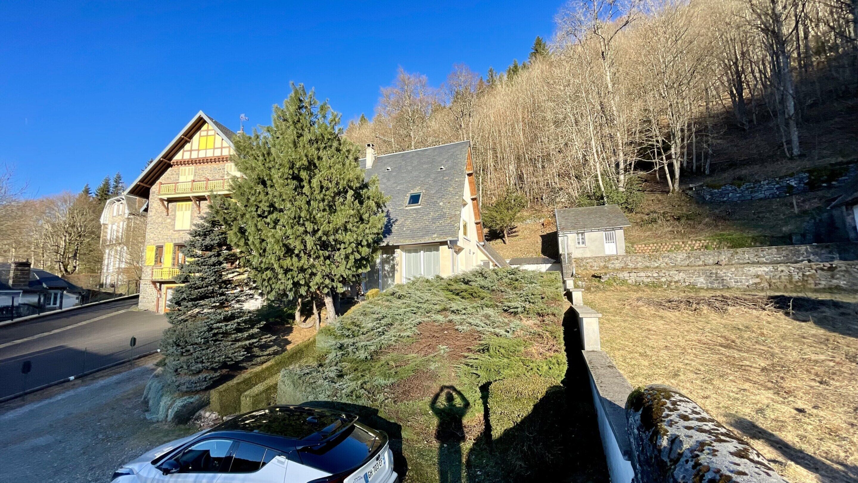 A house with a stone facade, a large tree in front, and a car parked on the street.