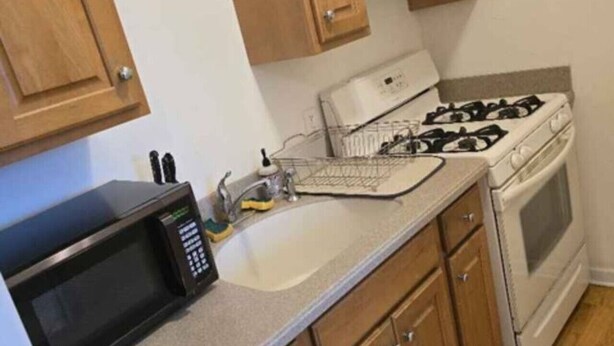 A compact kitchen with a microwave, stove, and wooden cabinets. - 1BR/1BA Comfortable & Convenient (Belleville)