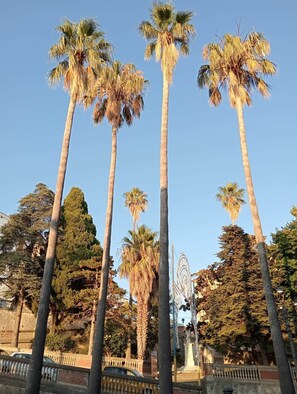 Unclassified image, 2 of 7, button - La Colombaia Bed and Rooms (Belvedere Marittimo)