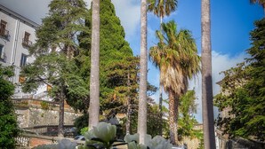 A potted plant with white flowers in the foreground, tall palm trees, and a building with balconies in the background. - La Colombaia Bed and Rooms (Belvedere Marittimo)