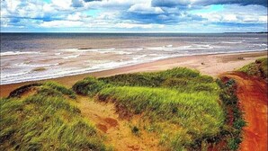 Un paysage côtier avec une plage, des dunes herbeuses et un ciel nuageux.