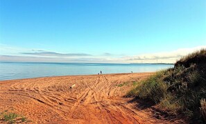 Playa