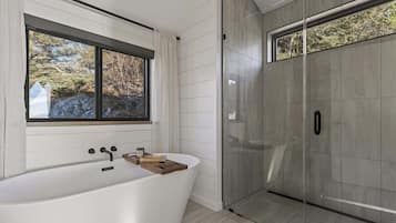 Shower, hair dryer, towels, shampoo